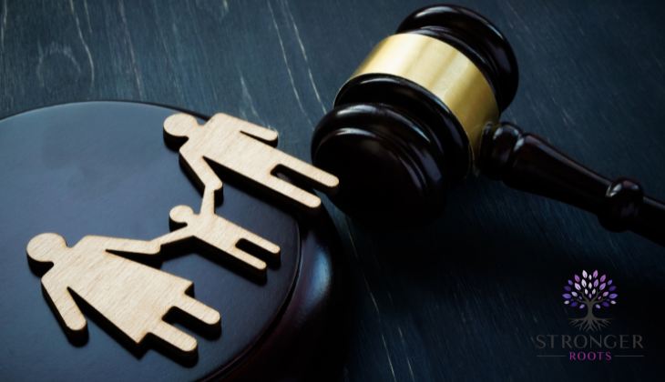 How You Can Advocate for Family Court Reform