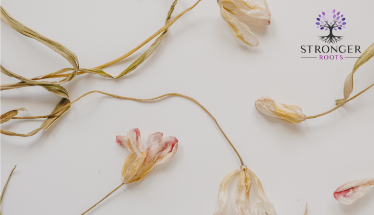 The Difference Between Parental Alienation and Estrangement