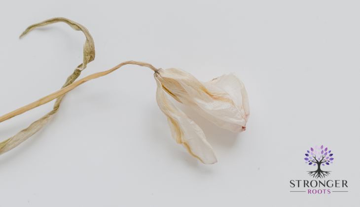 What Coercive Control Really Looks Like in Daily Life