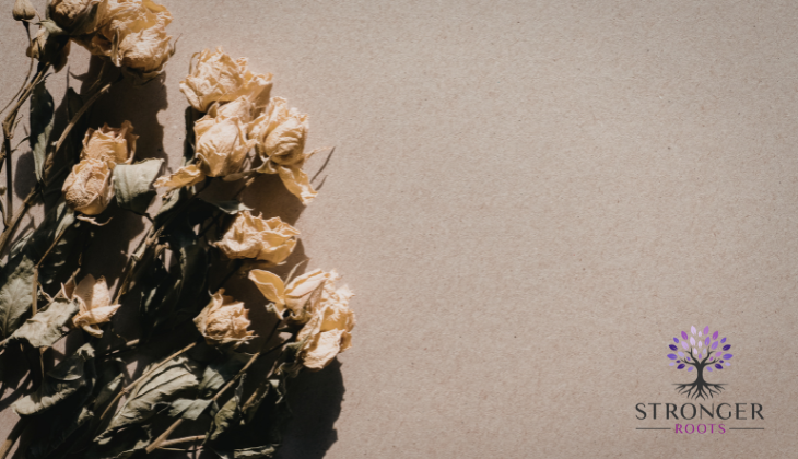 Financial Abuse: When Money Becomes a Weapon