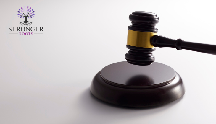 What Family Court Often Misses About Trauma